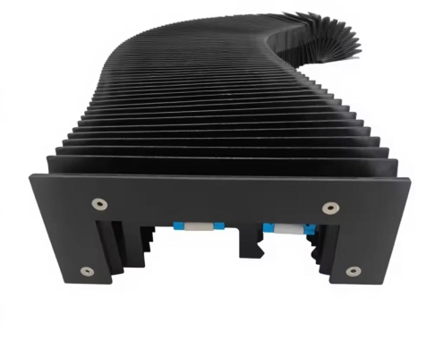 WhatsApp Image 2026-03-09 at 13.07.24