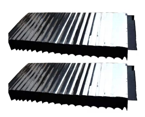 WhatsApp Image 2026-03-09 at 13.10.48