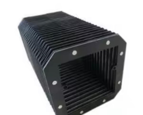 WhatsApp Image 2026-03-09 at 13.13.23