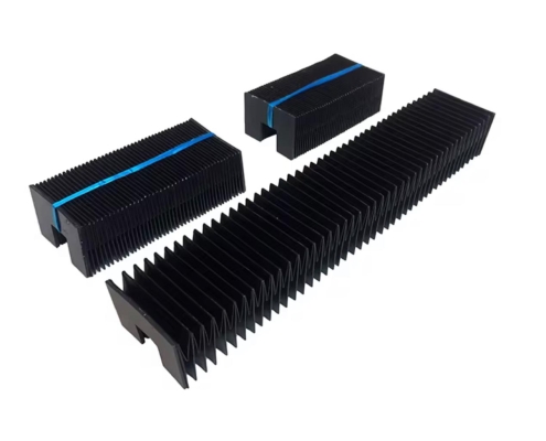 WhatsApp Image 2026-03-09 at 13.18.30